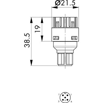 Schlegel Lampenfassung Schlegel Kontaktelement 2 Öffner, 1 Schließer tastend 1 St., (FRTLOI_C121)
