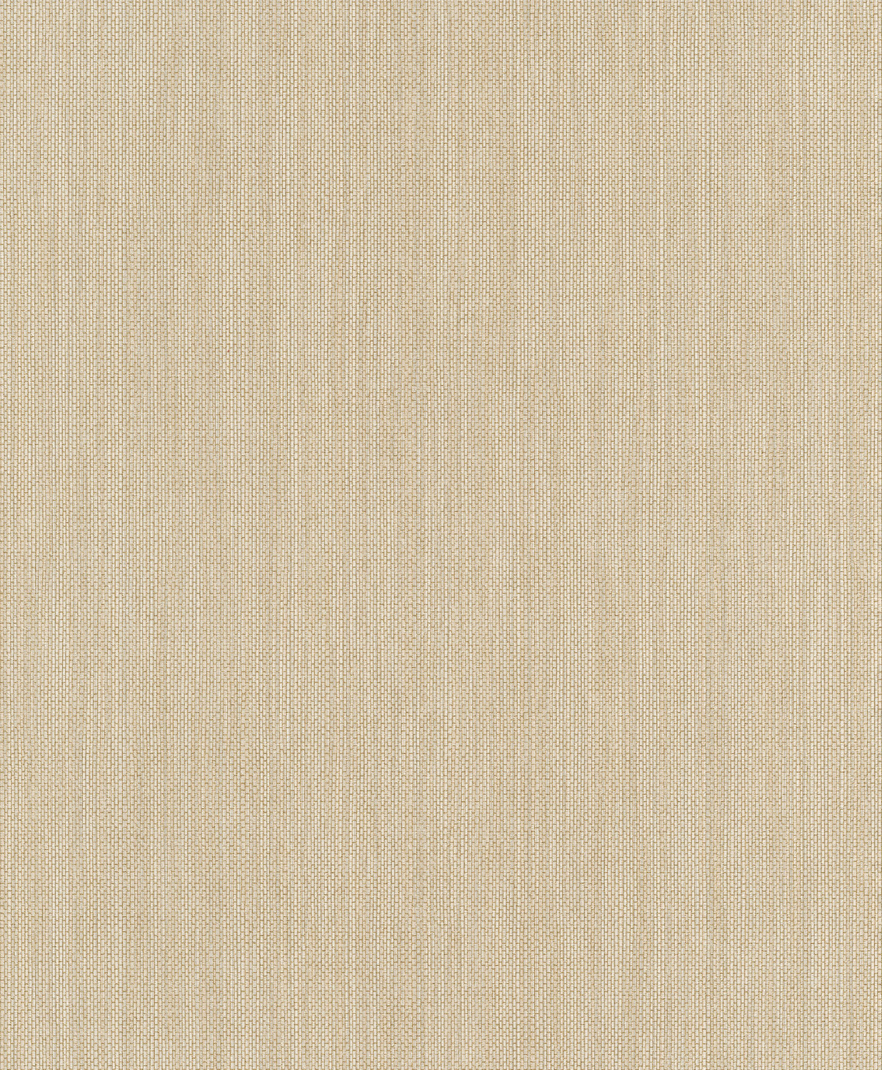 Erismann Vliestapete Paradisio 2, 10,05 0,53m Uni beige x