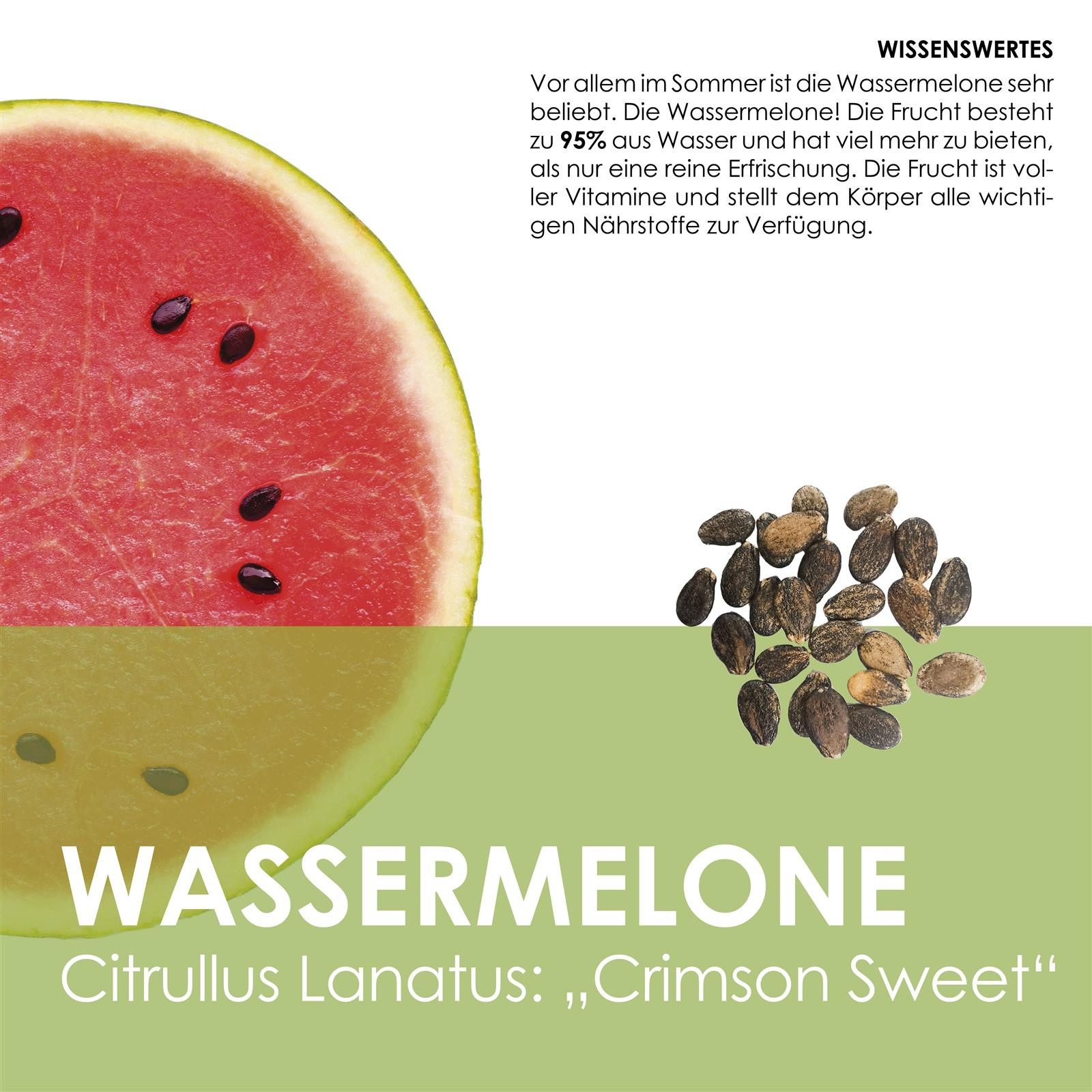 HappySeed Blumensamen Wassermelone Samen - Citrullus lanatus, Blumen – Bild 3 von 5