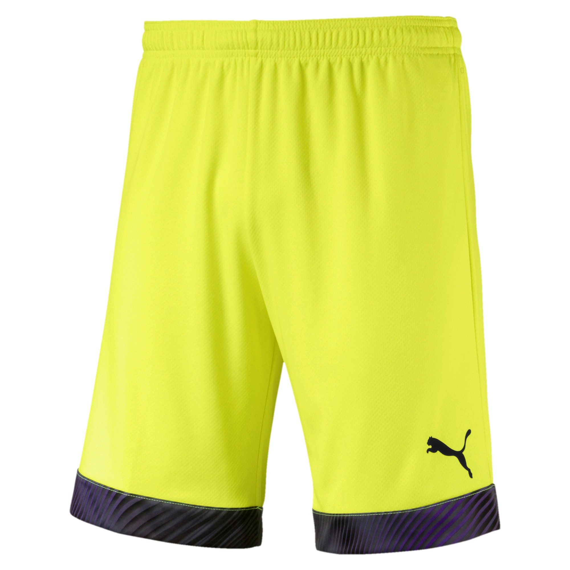 Trainingsshorts Puma Herren Short Cup Shorts 704034
