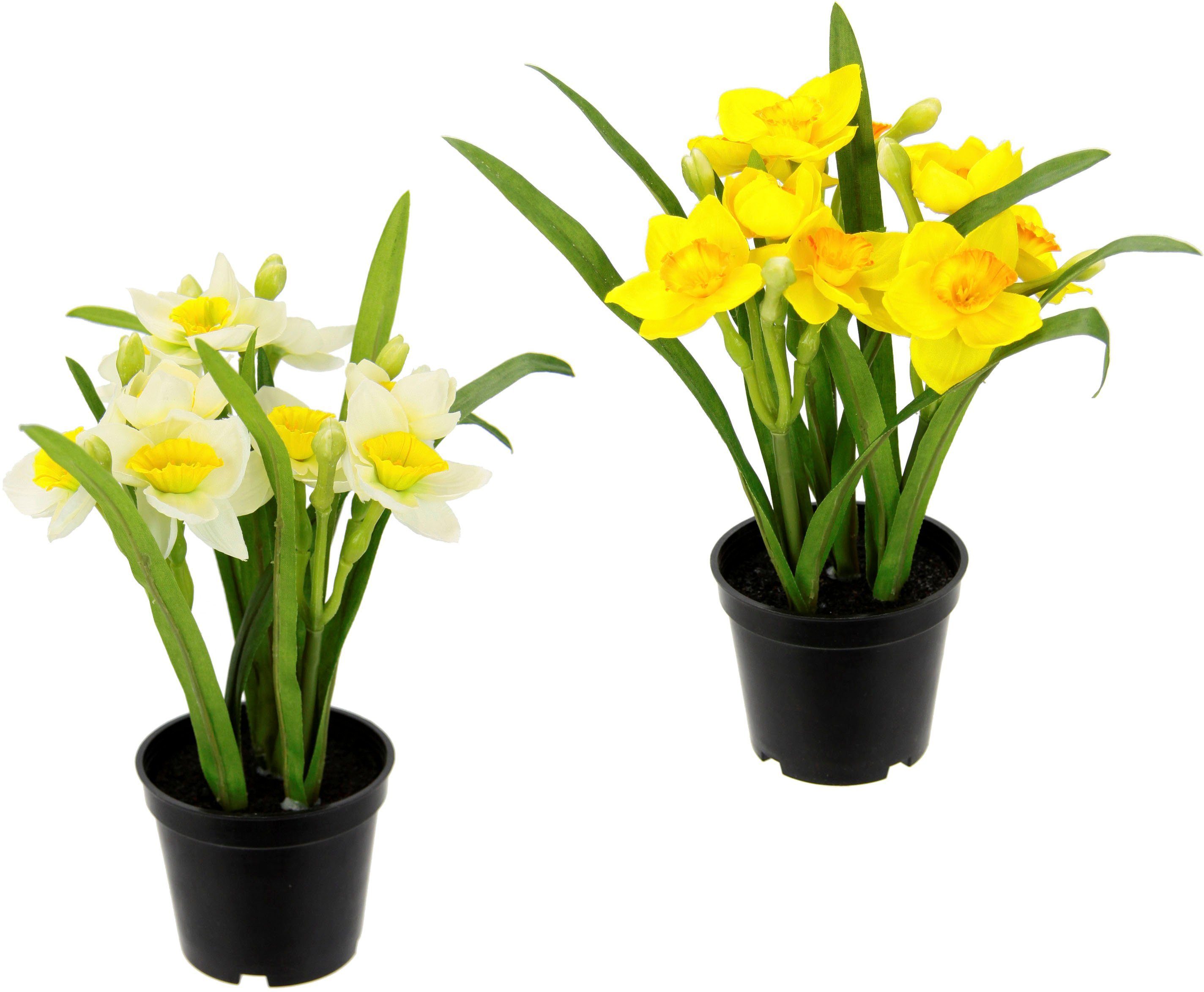 Kunstpflanze »Narzissen«, I.GE.A., Höhe 22 cm, Im Topf, 2er Set