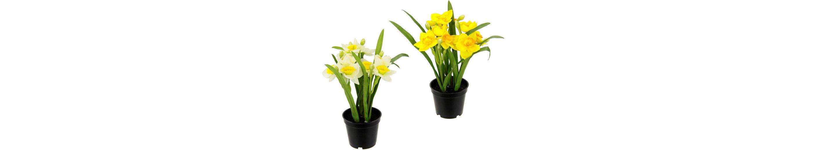 Kunstpflanze »Narzissen«, I.GE.A., Höhe 22 cm, Im Topf, 2er Set