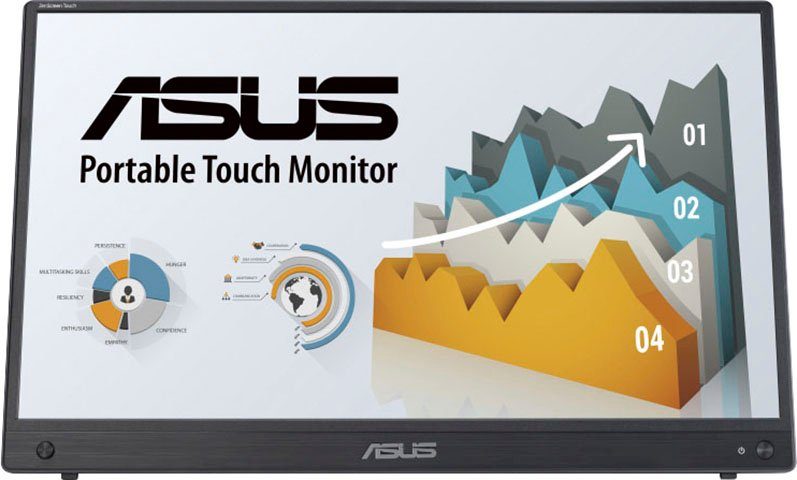 Asus ASUS Monitor LED-Monitor (39,6 cm/15,6 ", Full HD, 5 ms Reaktionszeit, 60 Hz, IPS)