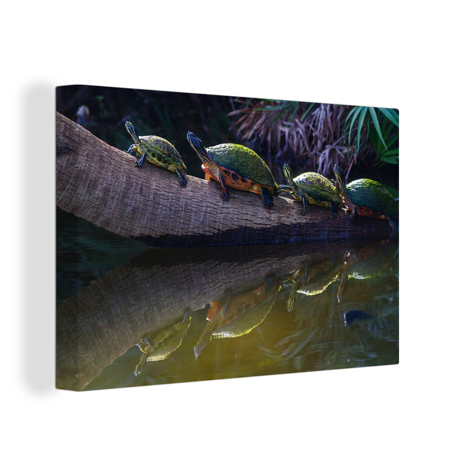 OneMillionCanvasses® Leinwandbild Schildkröten auf einer Palme in der Nähe des Wassers bei Nacht, (1 St), Wandbild Leinwandbilder, Aufhängefertig, Wanddeko, 30x20 cm