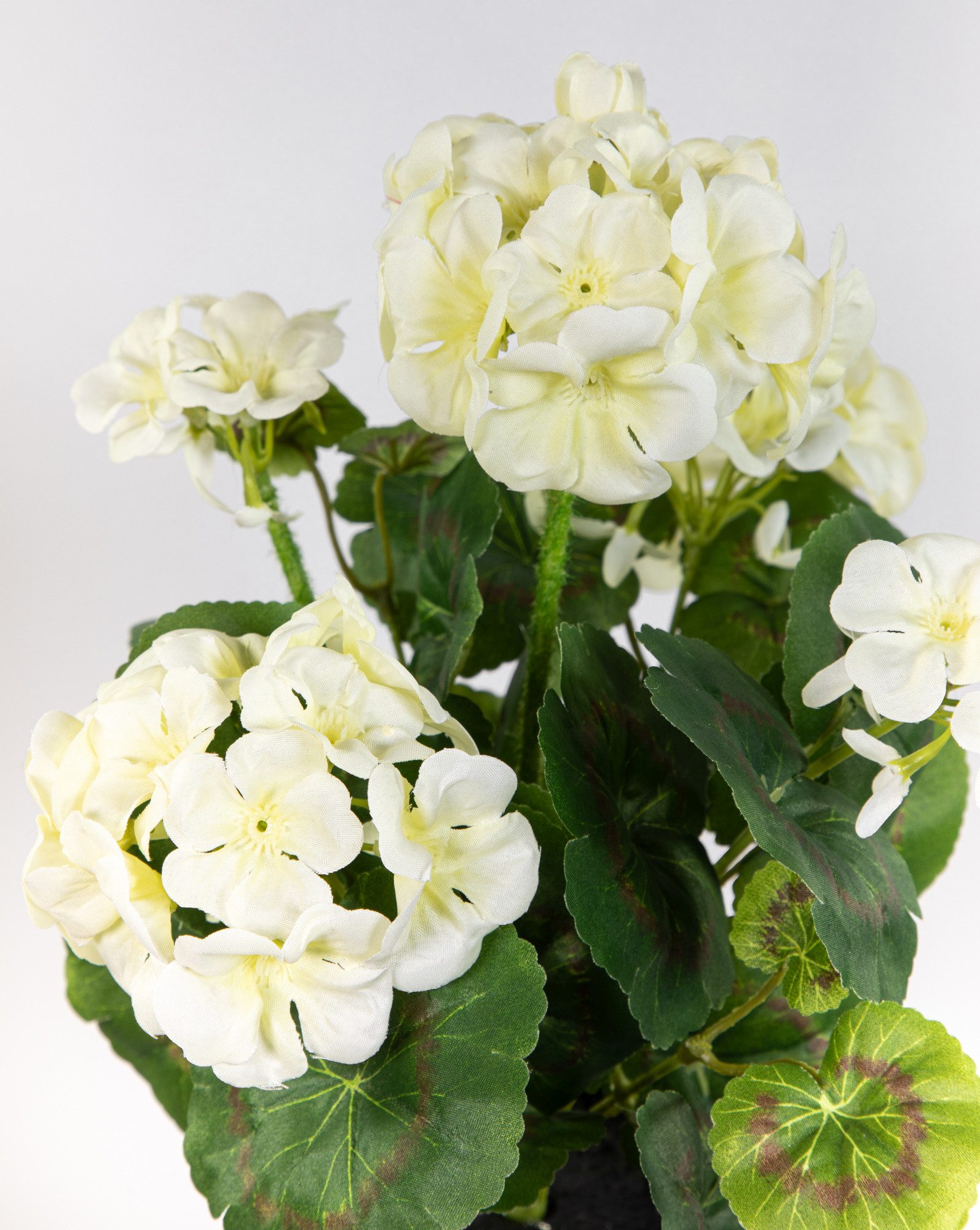 Kunstblume Geranie im Topf 34cm LM Kunstpflanzen künstliche Blumen Pflanzen Pelargonium, Seidenblumen Roß, Höhe 34 cm, Weiß