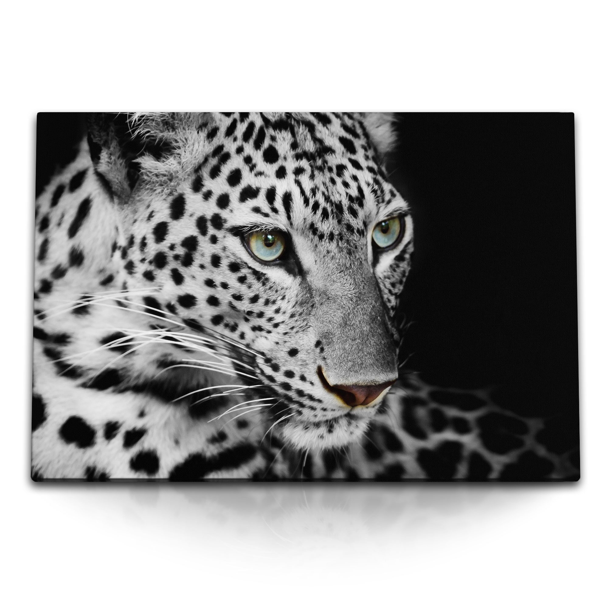 Leinwandbild 120x80cm Wandbild auf Leinwand Tierfotografie Raubkatze Jaguar Schwarz