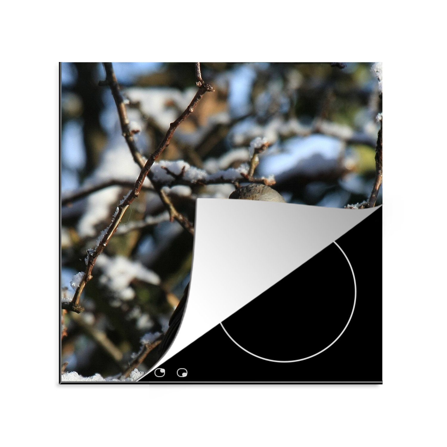 Amsel Ceranfeldabdeckung, Arbeitsplatte MuchoWow Vinyl, 78x78 küche (1 Winter, cm, in tlg), einem für Eine im Baum Herdblende-/Abdeckplatte