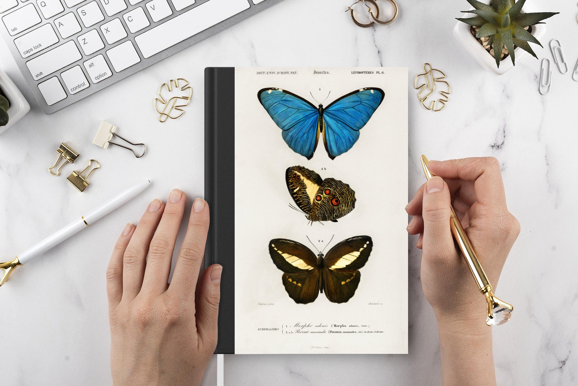 MuchoWow Notizbuch Schmetterling - 98 A5, Tagebuch, Notizheft, Seiten, Journal, Insekten, Merkzettel, Vintage - Haushaltsbuch