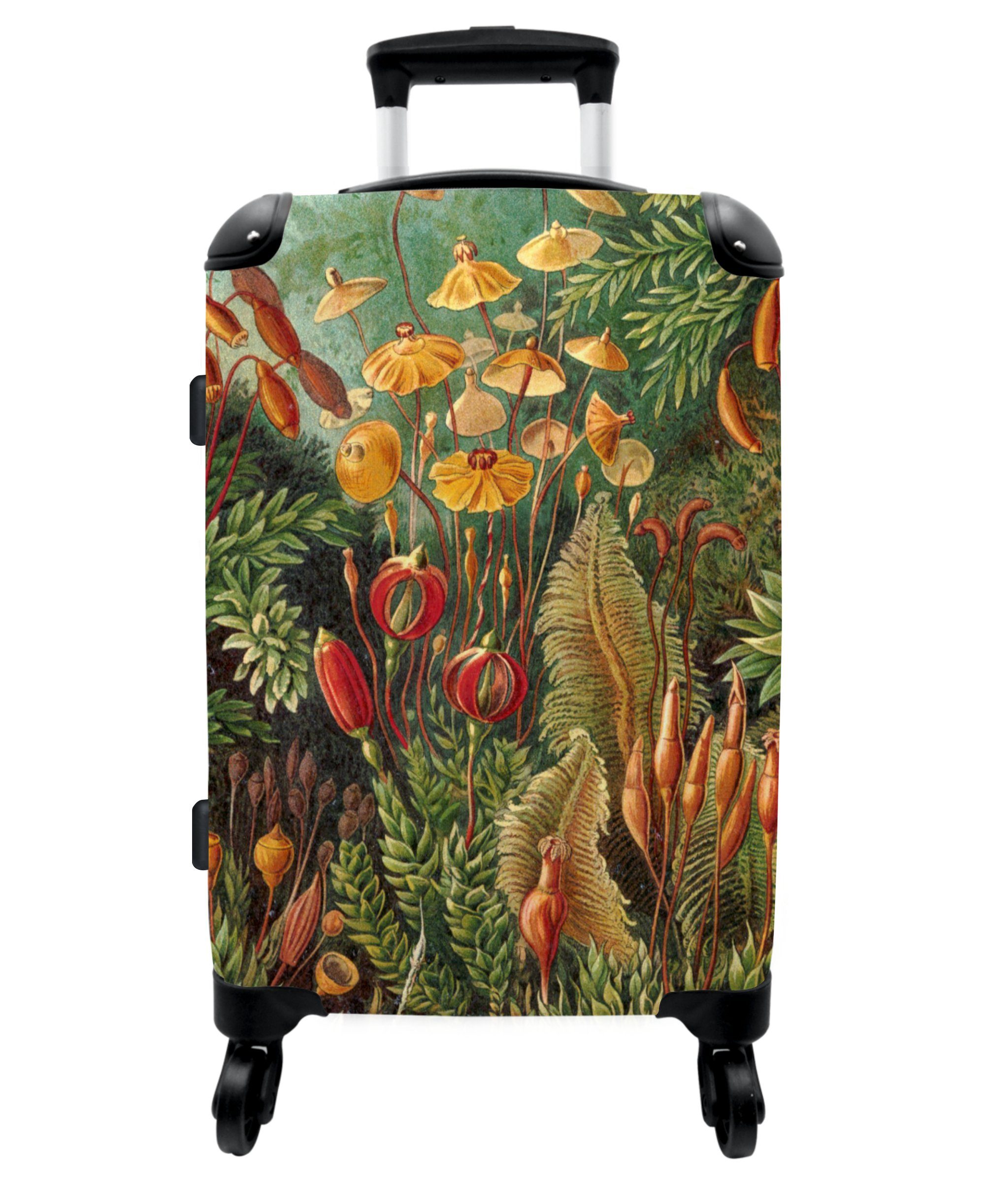 NoBoringSuitcases.com© Koffer 67x43x25cm Vintage - Kunst - Natur - Haeckel - Alte Meister, 4 Rollen, Aufgabegepäck Trolley Rollkoffer Große Reisekoffer mit 4 Rollen -