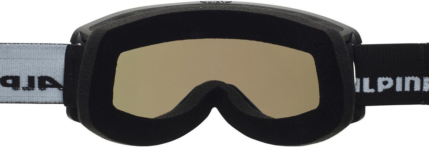 Alpina Sports Skibrille ALPINA NARKOJA HM