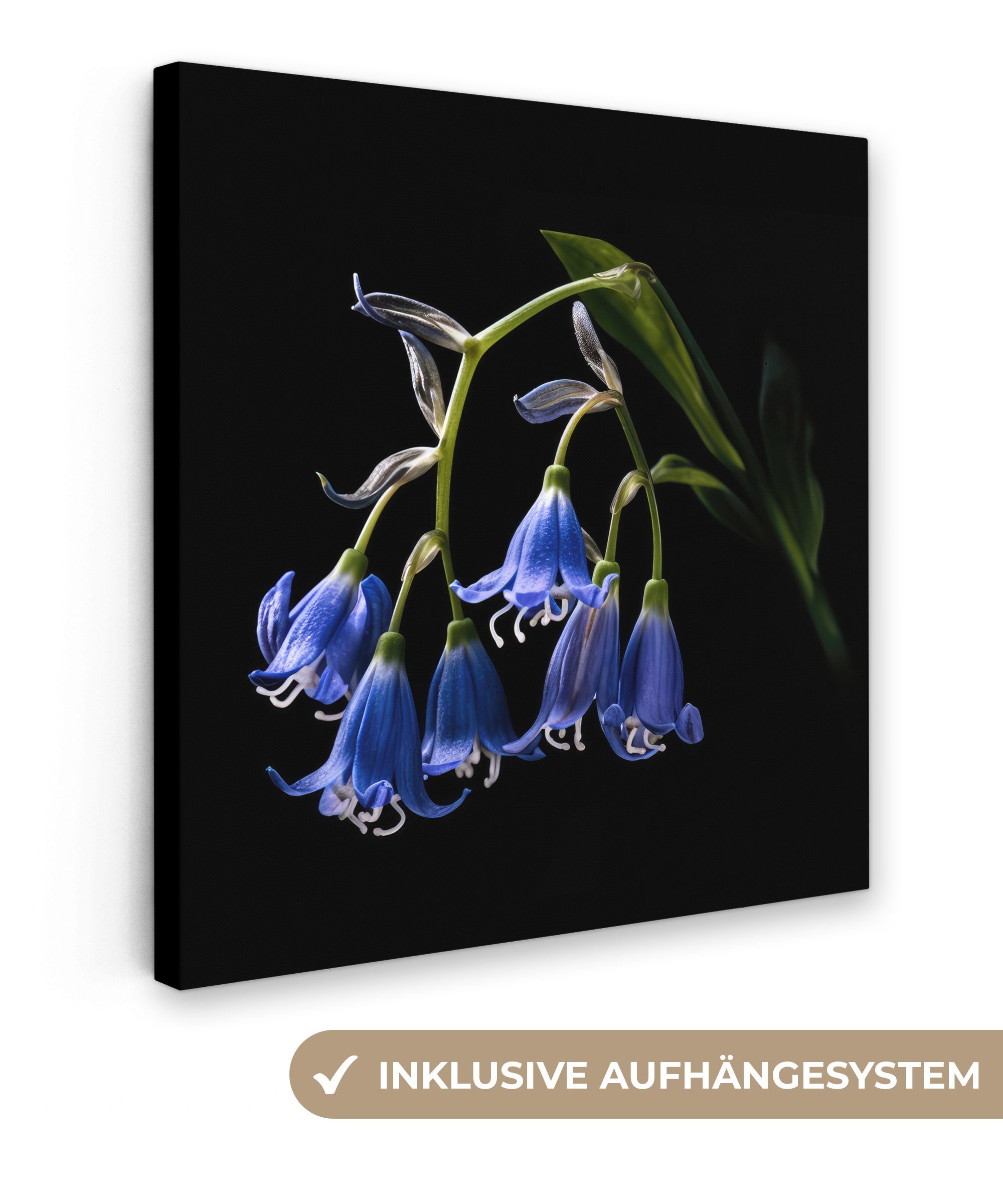 OneMillionCanvasses® Leinwandbild Hyazinthe - Blumen - Blau - Natur - Schwarz, (1 St), Leinwand Bilder für Wohnzimmer Schlafzimmer, 20x20 cm