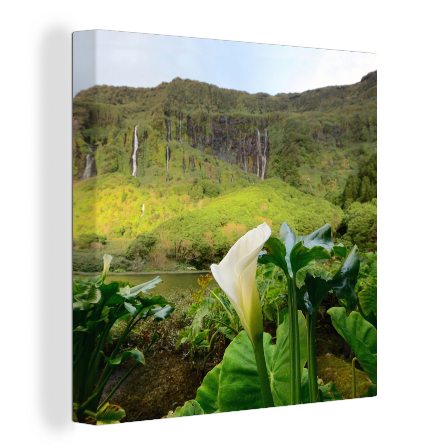 OneMillionCanvasses® Leinwandbild Azoren - Natur - Lilie, (1 St), Leinwand Bilder für Wohnzimmer Schlafzimmer