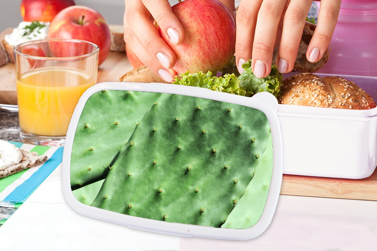 MuchoWow Lunchbox Barbary grün, weiß Kinder Erwachsene, und Minze Kunststoff, (2-tlg), für Brotbox Mädchen Kaktus für Brotdose, Blatt Jungs und