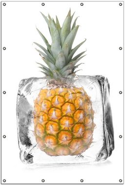 Wallario Sichtschutzzaunmatten Ananas in Eiswürfel - Eiskaltes Obst, rund