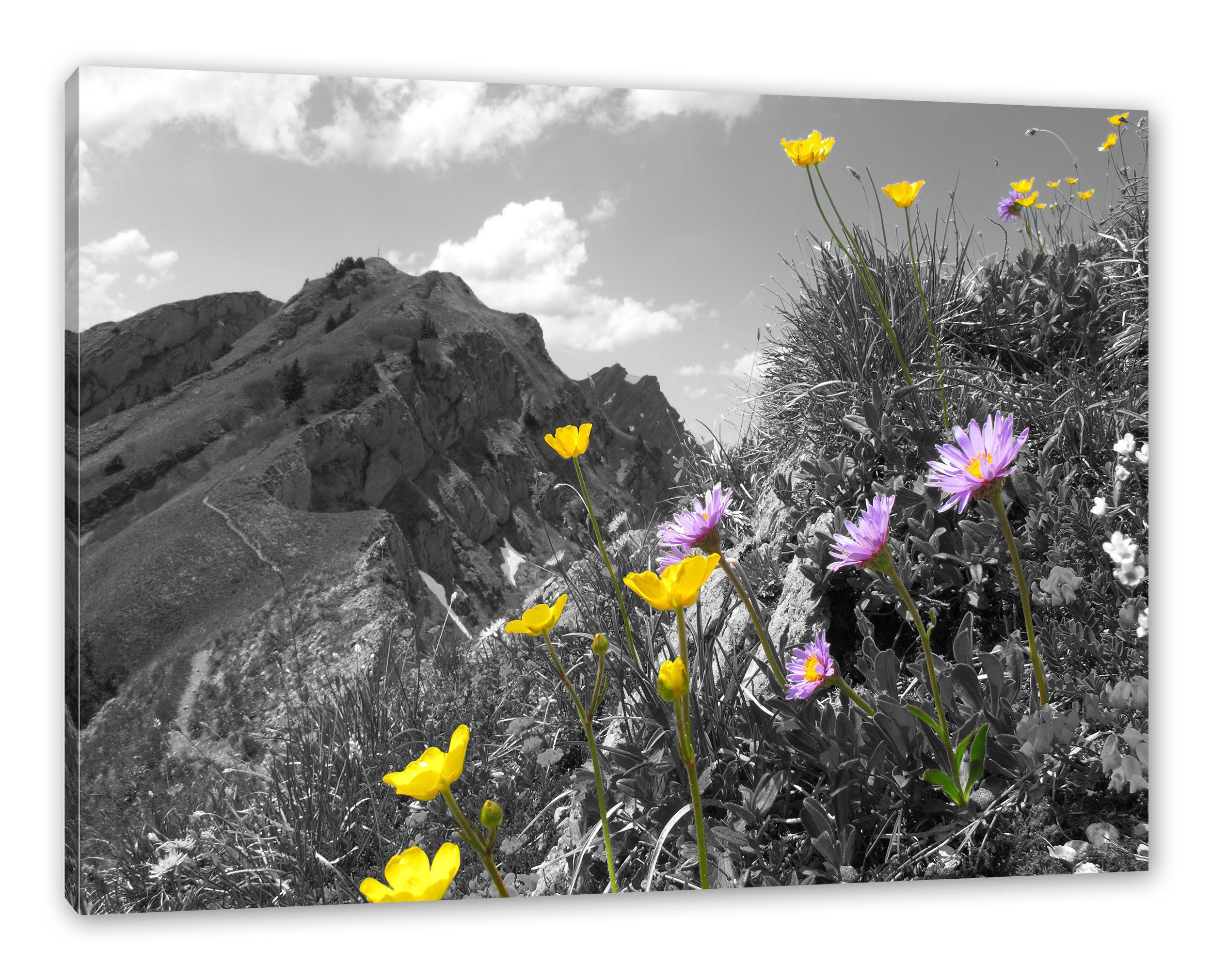 inkl. im (1 im Leinwandbild Frühling Blumenwiese St), fertig bespannt, Blumenwiese Zackenaufhänger Leinwandbild Frühling, Pixxprint