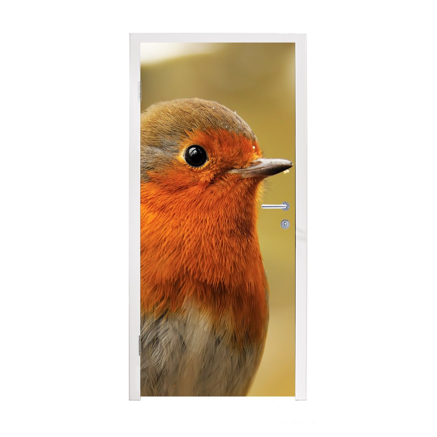 MuchoWow Türtapete Vogel - Rotkehlchen - Porträt, Matt, bedruckt, (1 St), Fototapete für Tür, Türaufkleber, 75x205 cm