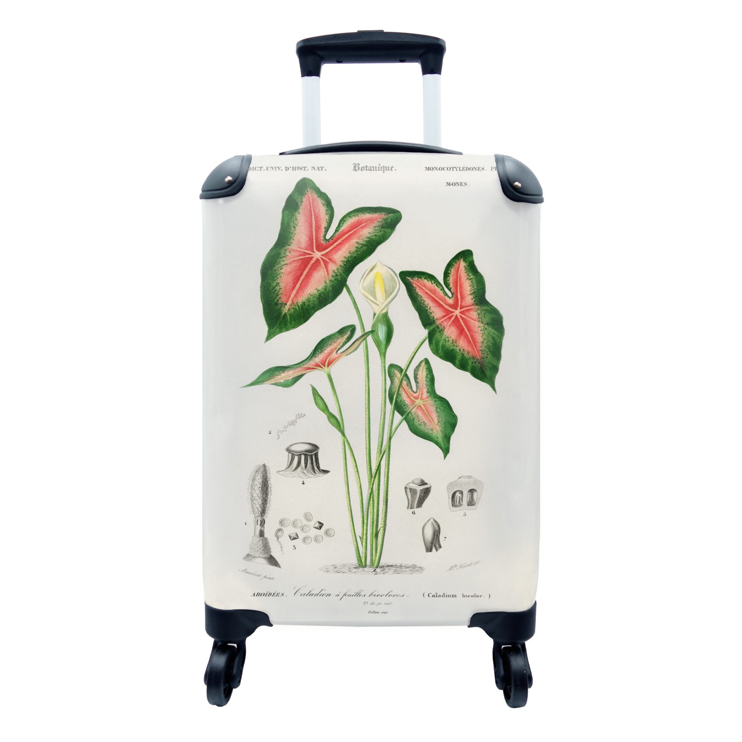 MuchoWow Handgepäckkoffer Jahrgang - Pflanze - Caladium, 4 Rollen, Reisetasche mit rollen, Handgepäck für Ferien, Trolley, Reisekoffer