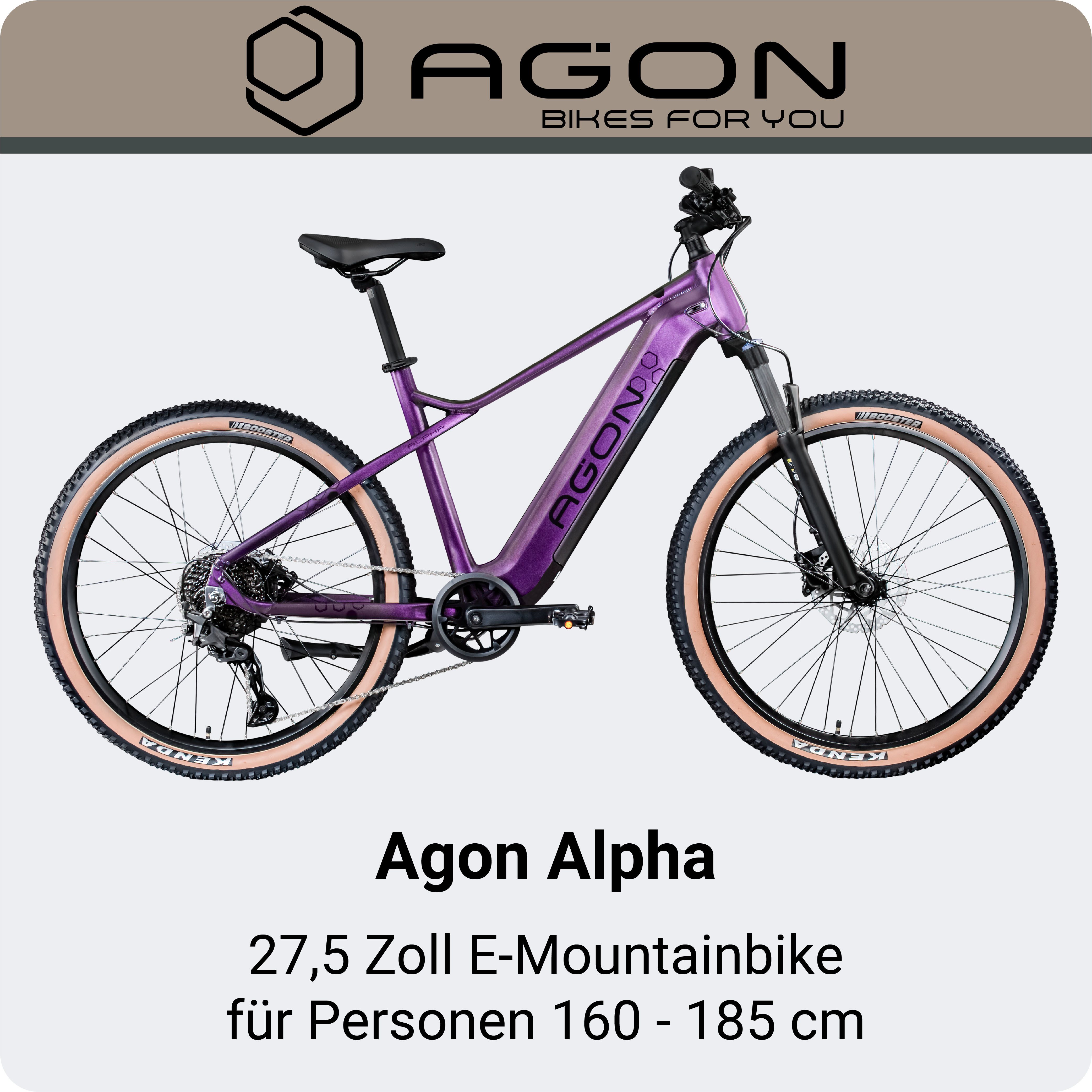 AGON E-Bike Mountainbike Alpha, 10 Gang Deore SGS T6000 Schaltwerk, Kettenschaltung, Heckmotor, 540 Wh, Pedelec, Elektrofahrrad für Damen u. Herren, MTB