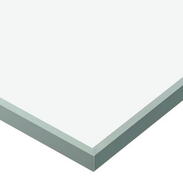 vidaXL Zimmertür Schiebetür ESG-Glas und Aluminium 76x205 cm Silbern