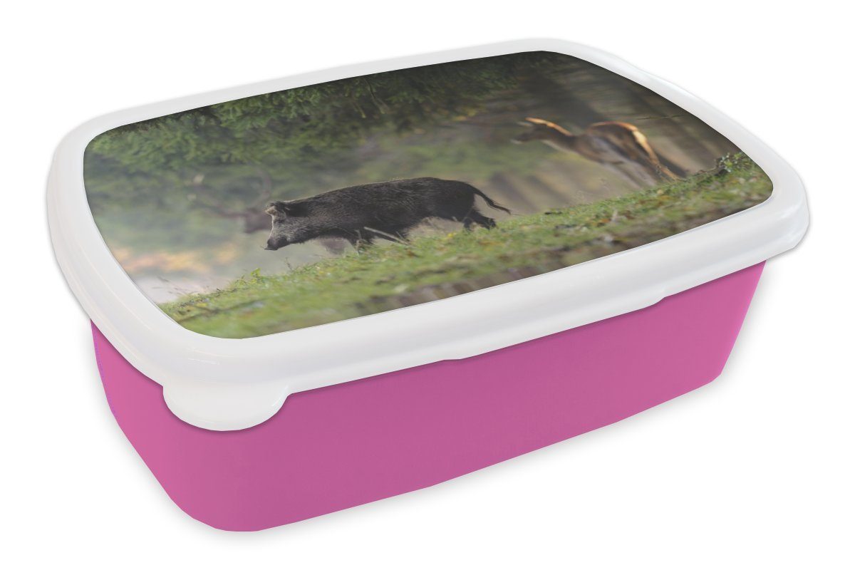 MuchoWow Lunchbox Schwein - Hirsch - Wald, Kunststoff, (2-tlg), Brotbox für Erwachsene, Brotdose Kinder, Snackbox, Mädchen, Kunststoff rosa