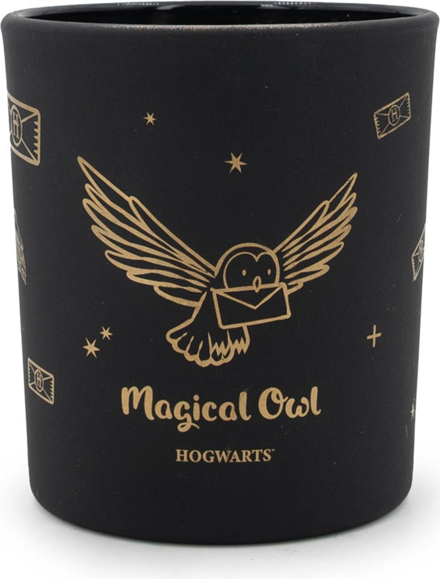 Fragrance 'n Style Duftkerze Harry Potter? Duftkerze Magical Owl Black