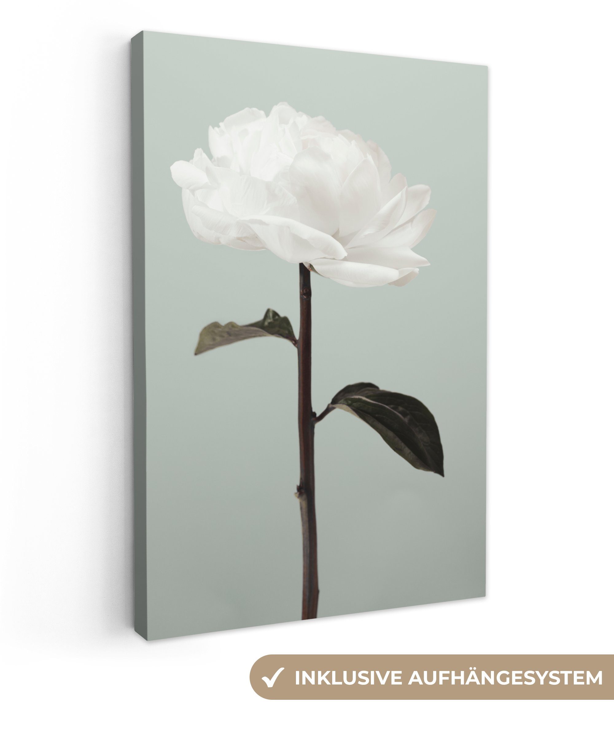 OneMillionCanvasses® Leinwandbild Blumen - Rose - günstig online kaufen