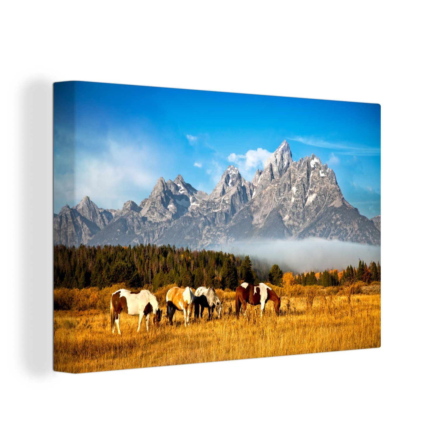 Aufhängefertig, Wanddeko, Wyoming, vor Leinwandbilder, Teton St), Mountains Wandbild Pferde den (1 den 30x20 OneMillionCanvasses® Leinwandbild cm in Weiden auf