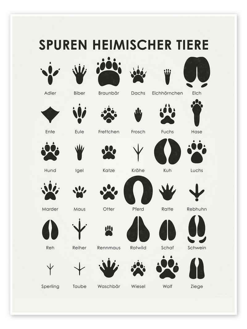 Posterlounge Poster Iris Luckhaus, Spuren heimischer Tiere I, Jungenzimmer Skandinavisch Kindermotive