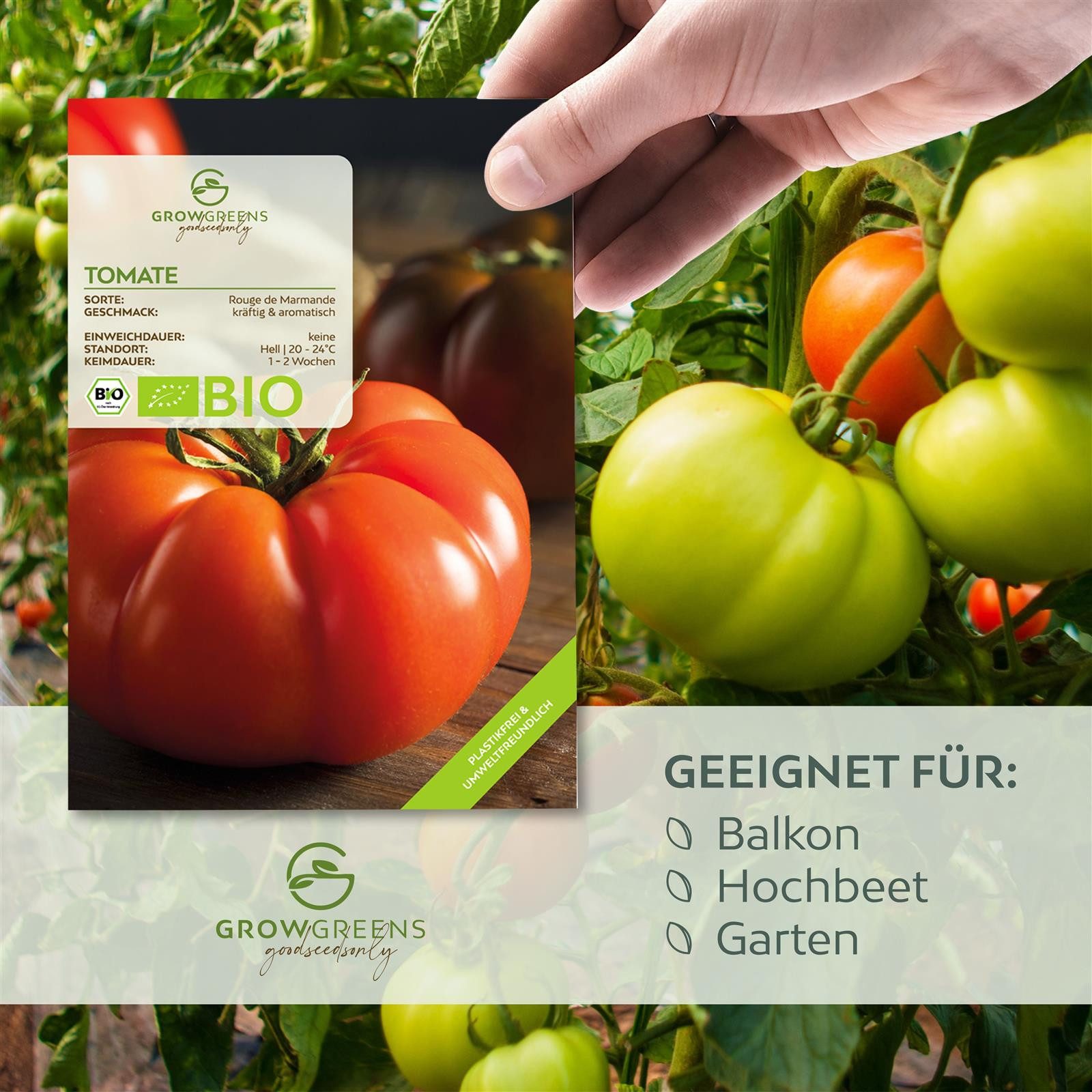 Growgreens Gemüsesamen BIO Tomatensamen (Rouge de günstig online kaufen