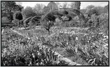 Papermoon Infrarotheizung Garten Schwarz & Weiß, sehr angenehme Strahlungswärme