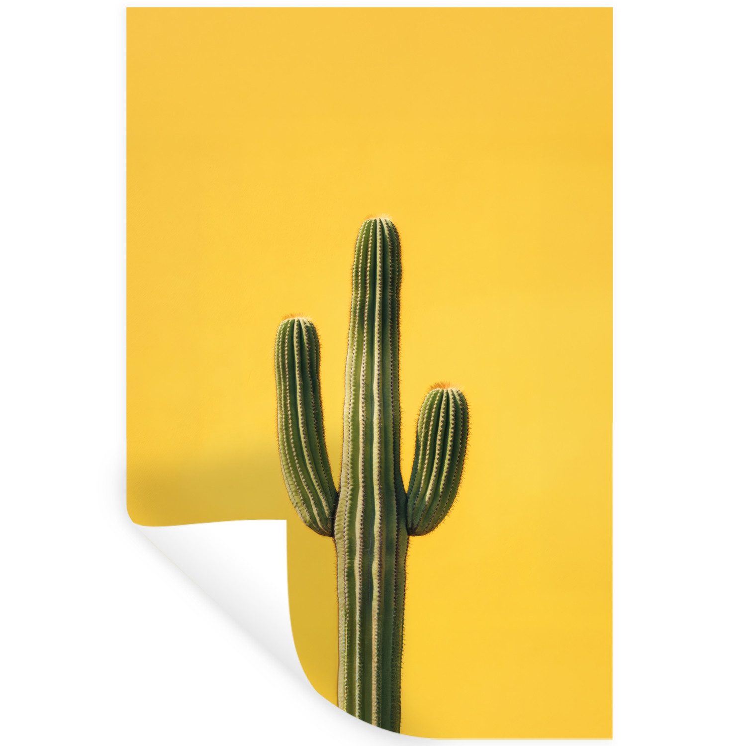 MuchoWow Wandsticker Kaktus - Grün - Minimalistisch (1 St), Wandaufkleber, Selbstklebend, Wohnzimmer, 20x30 cm