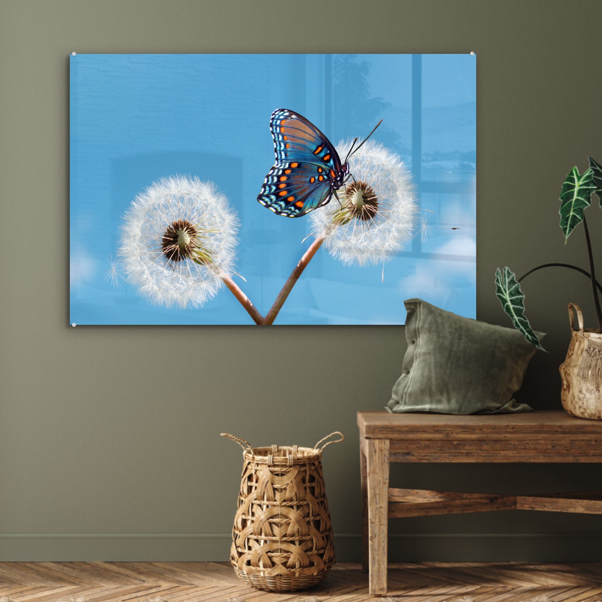 Acrylglasbilder Wohnzimmer blauer & Acrylglasbild einem Schlafzimmer MuchoWow Schmetterling auf St), Nahaufnahme Löwenzahn, (1