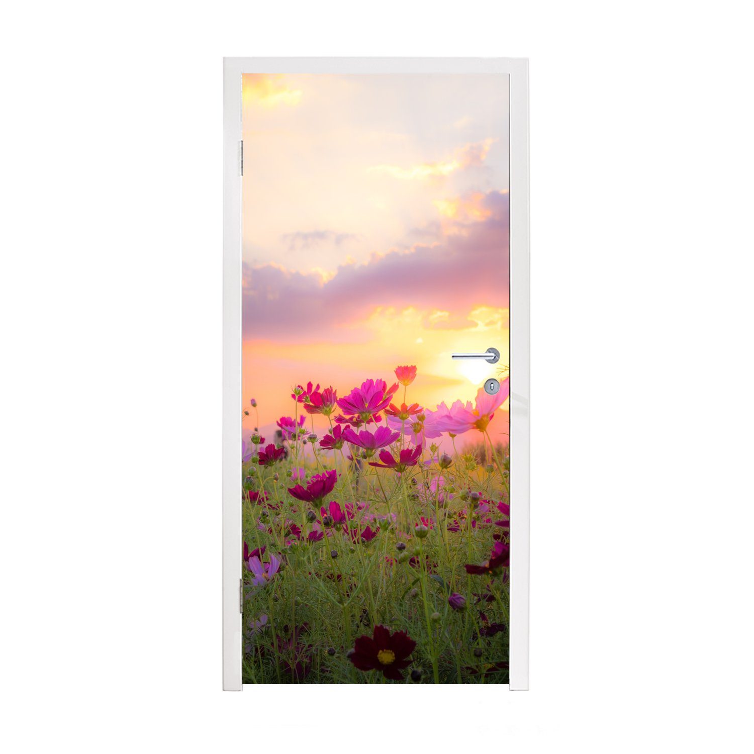 cm Türtapete 75x205 - Sonnenuntergang St), - Fototapete Rosa - Blumen Türaufkleber, für Matt, bedruckt, MuchoWow - Grün, (1 Natur Tür,