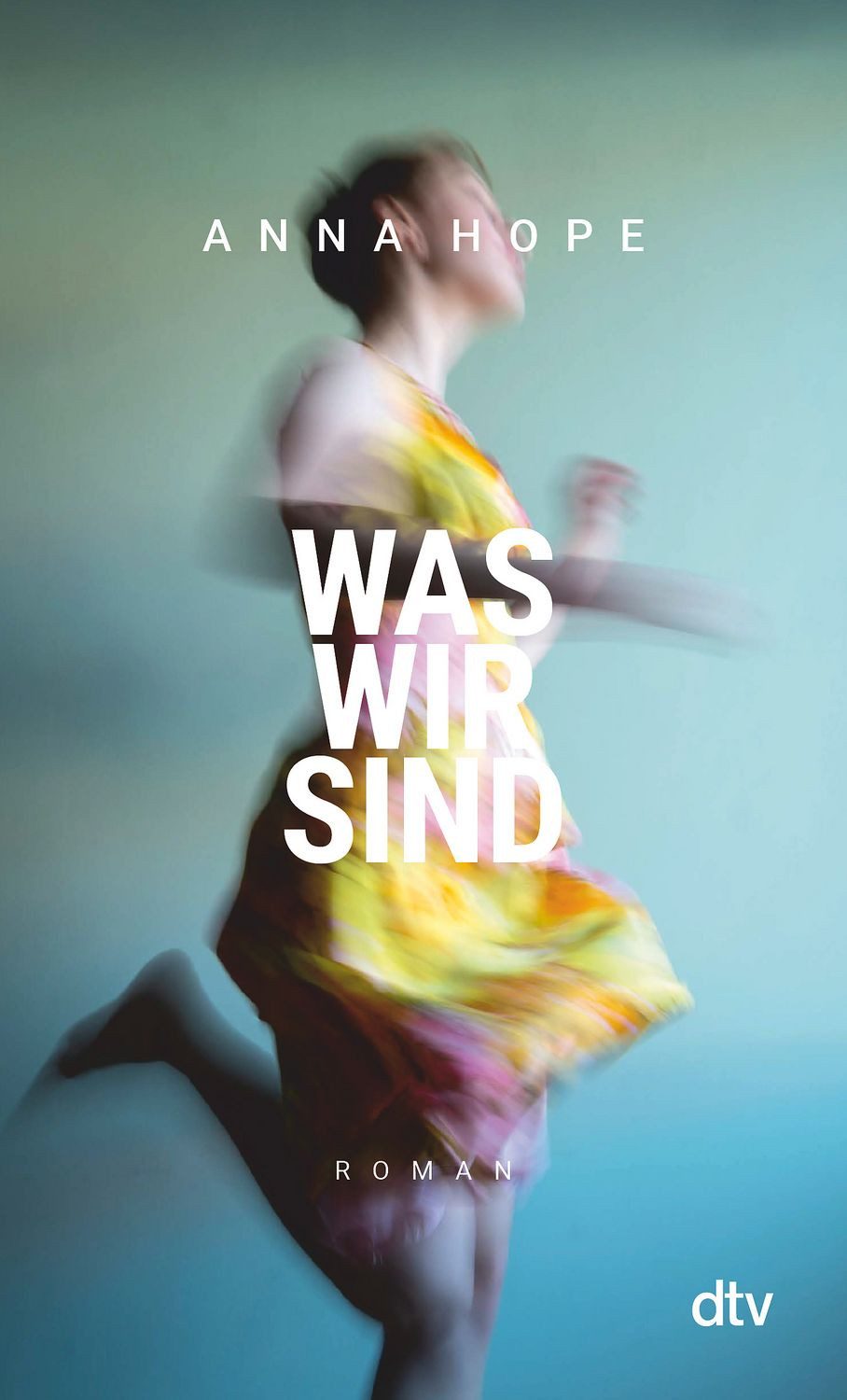 Was wir sind / Anna Hope