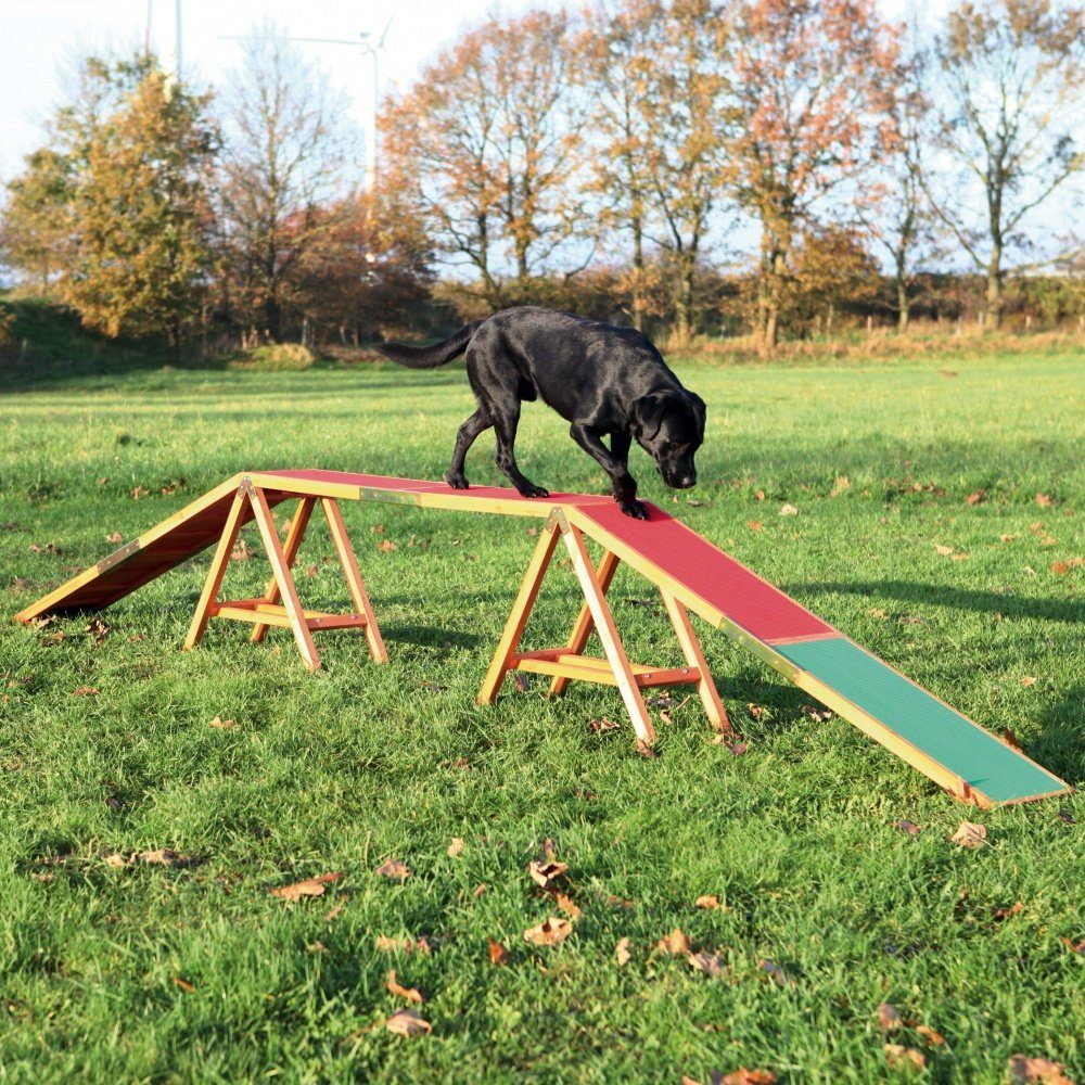TRIXIE Agility-Slalom Dog Activity Agility Steg