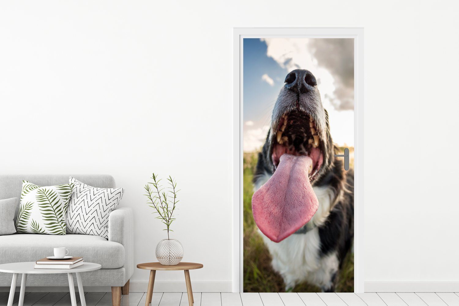 MuchoWow Türtapete Nahaufnahme Border Collie, St), 75x205 Fototapete für Tür, Türaufkleber, bedruckt, Matt, cm (1