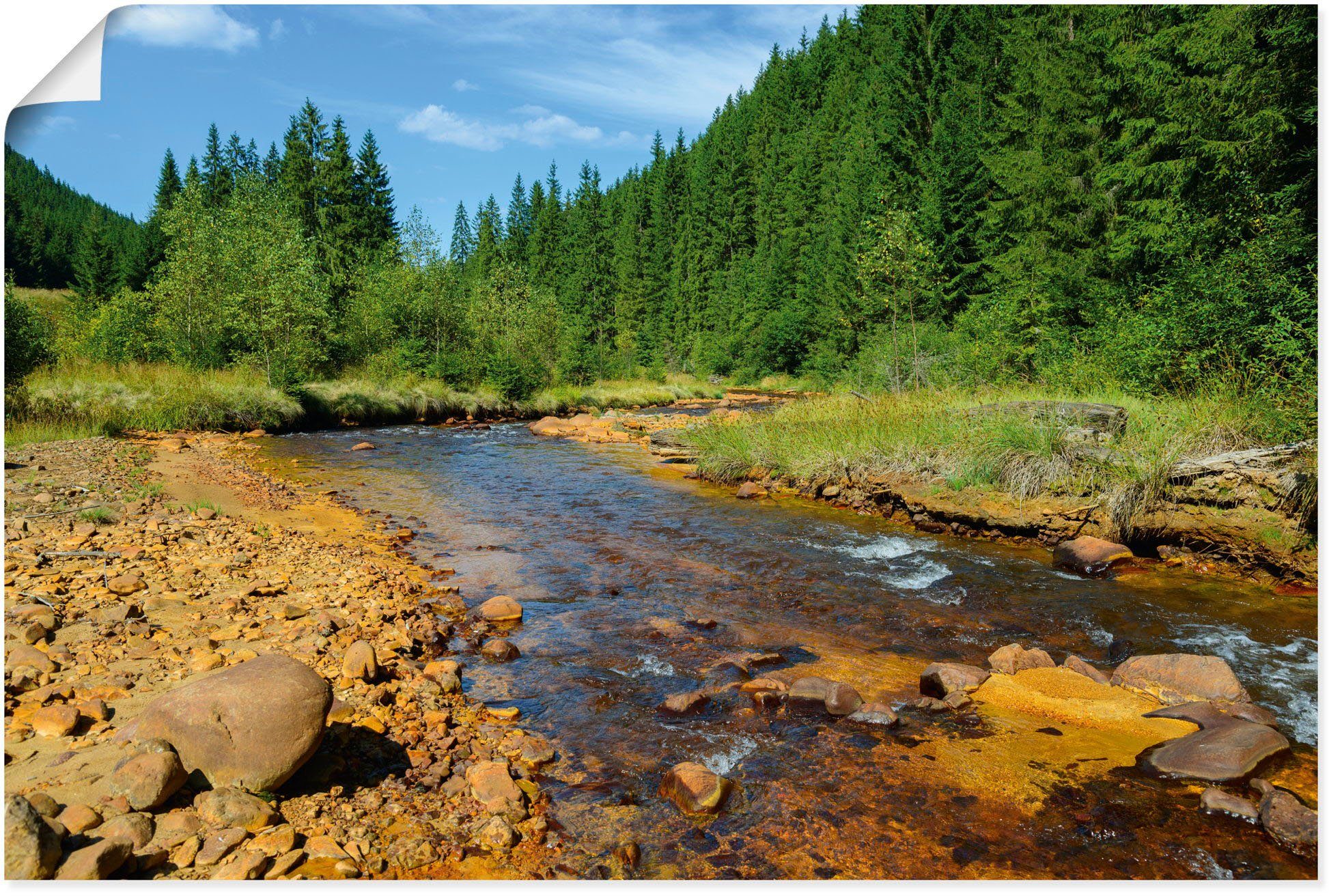 Fluss versch. Leinwandbild, Gewässer oder Artland (1 St), als Neagra, Alubild, Caliman-Nationalpark, Wandbild Poster Wandaufkleber in Größen