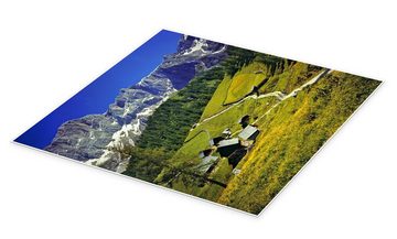 Posterlounge Poster Ric Ergenbright, Alm in den Dachstein Alpen, Fotografie