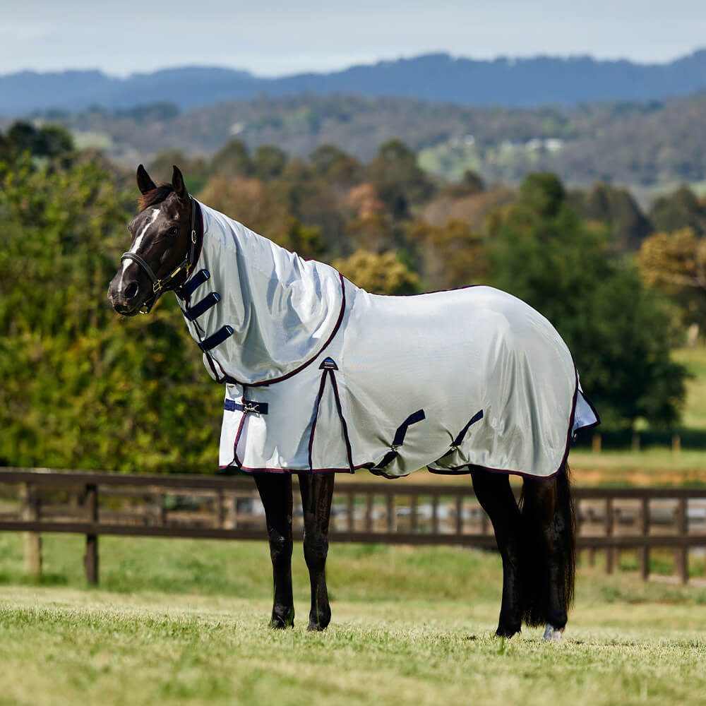 Pferde-Fliegendecke Weatherbeeta Comfitec Airflow Fly Sheet Detach-A-Neck