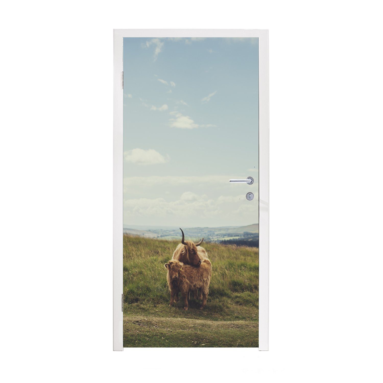 Schottische Tiere, MuchoWow Matt, Gras Türaufkleber, 75x205 - cm für Tür, (1 Fototapete St), Türtapete bedruckt, Wolken Highlander - -