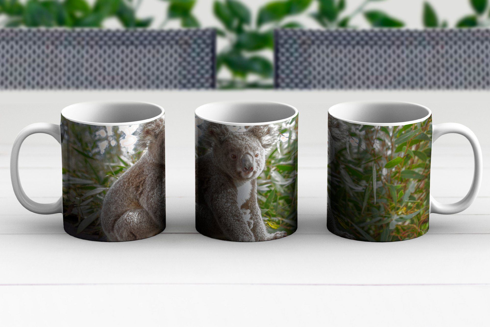 - Becher, Koala - Keramik, Jungen Regal Teetasse, - - Kinder Kaffeetassen, Geschenk Pflanzen Mädchen, MuchoWow - Teetasse, Tasse