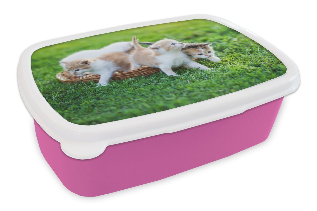 MuchoWow Lunchbox Kätzchen - Katze - Korb - Mädchen - Kinder - Jungen - Kinder, Kunststoff, (2-tlg), Brotbox für Erwachsene, Brotdose Kinder, Snackbox, Mädchen, Kunststoff rosa