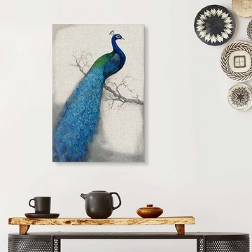 Posterlounge Acrylglasbild Tim O'Toole, Blauer Pfau I, Wohnzimmer Orientalisches Flair Malerei