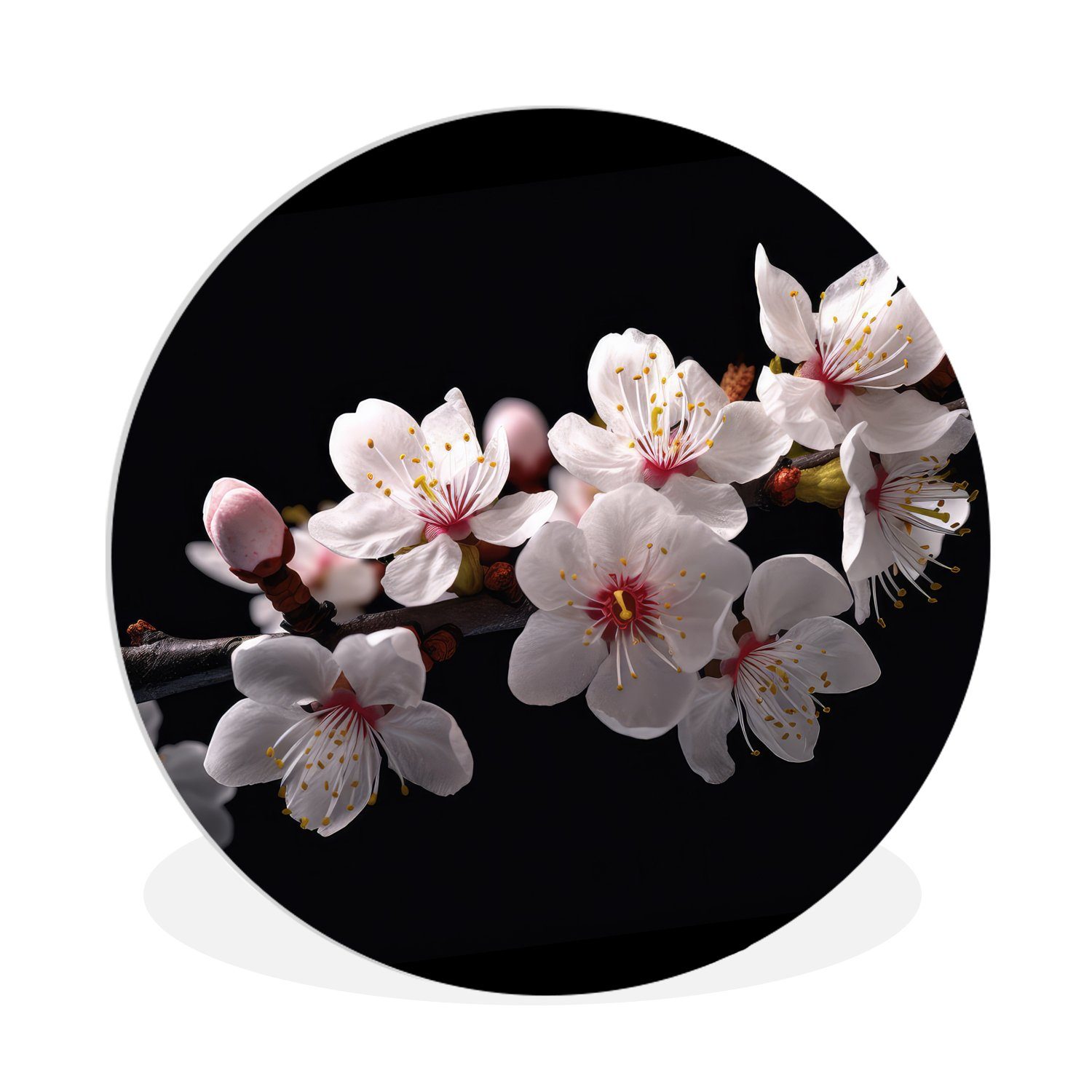 MuchoWow Gemälde Sakura - Blumen - Blütenzweige - Botanisch - Weiß, (1 St), Kreis Wanddekoration Forex, Rundes Wandbild, Wohnzimmer, 30x30 cm
