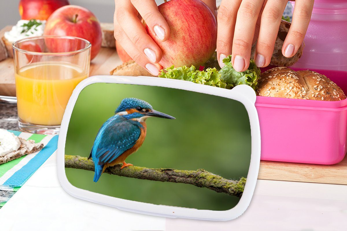 Mädchen, - Vogel Eisvogel Lunchbox Kunststoff Brotdose Moos MuchoWow Snackbox, Grün, Erwachsene, - für - Kinder, Brotbox Zweig rosa - Kunststoff, (2-tlg),