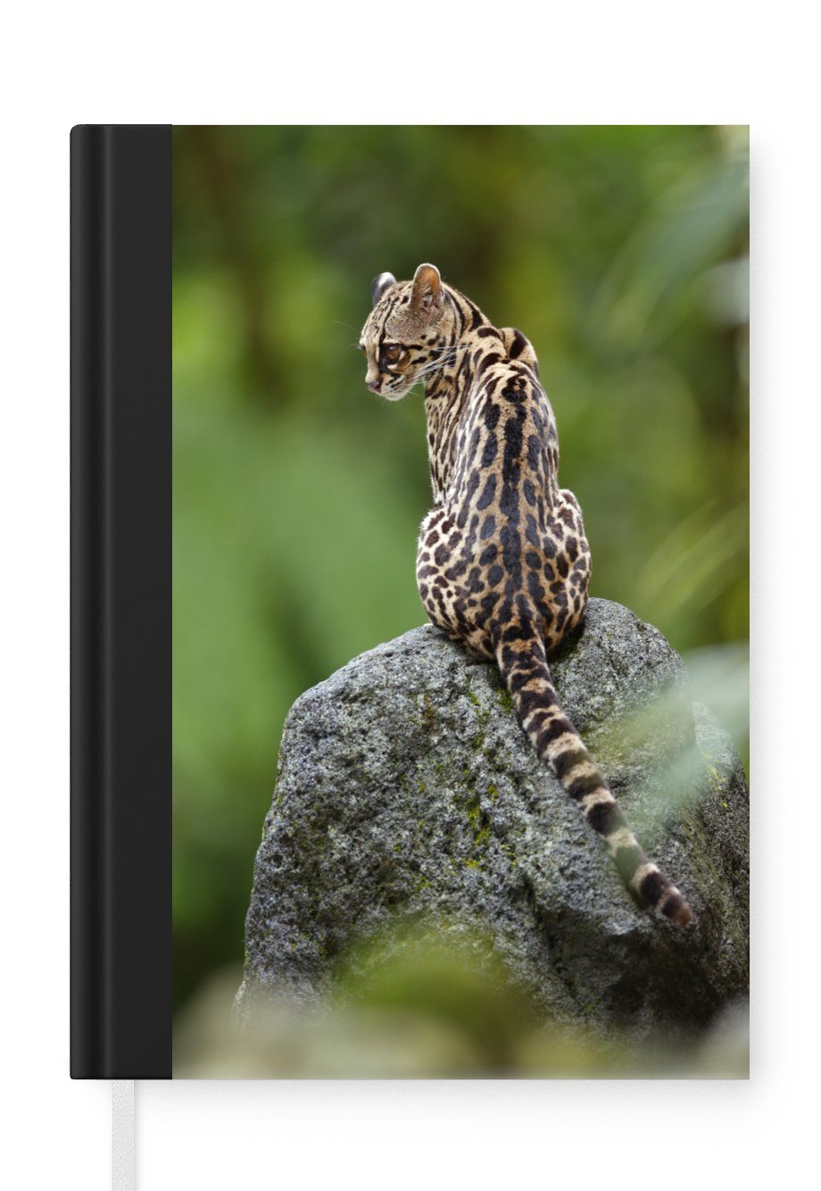 MuchoWow Notizbuch Baumkatze auf Stein, Notebook, Notizblock a5, Tagebuch, Journal Liniert