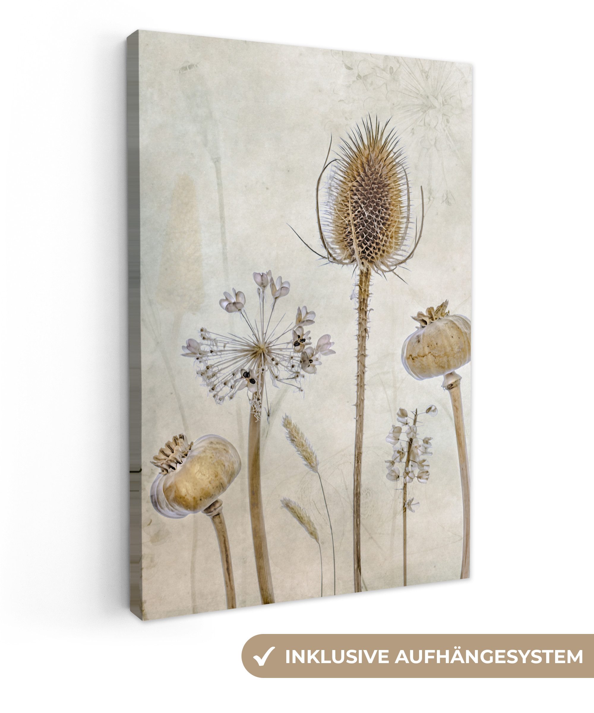 OneMillionCanvasses® Leinwandbild Blumen - Aquarell - Stilleben - Braun - V günstig online kaufen