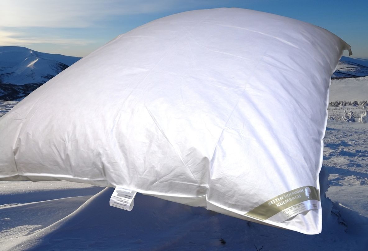 Betten Hofmann Federbettdecke Betten Hofmann Winterbett Oberbett Daunen-Federbett Bettdecke Schüttel, Füllung: 2300g halbweiße polnische neue Federn und Daunen, Klasse 1, 70% Federn, 30% Daunen