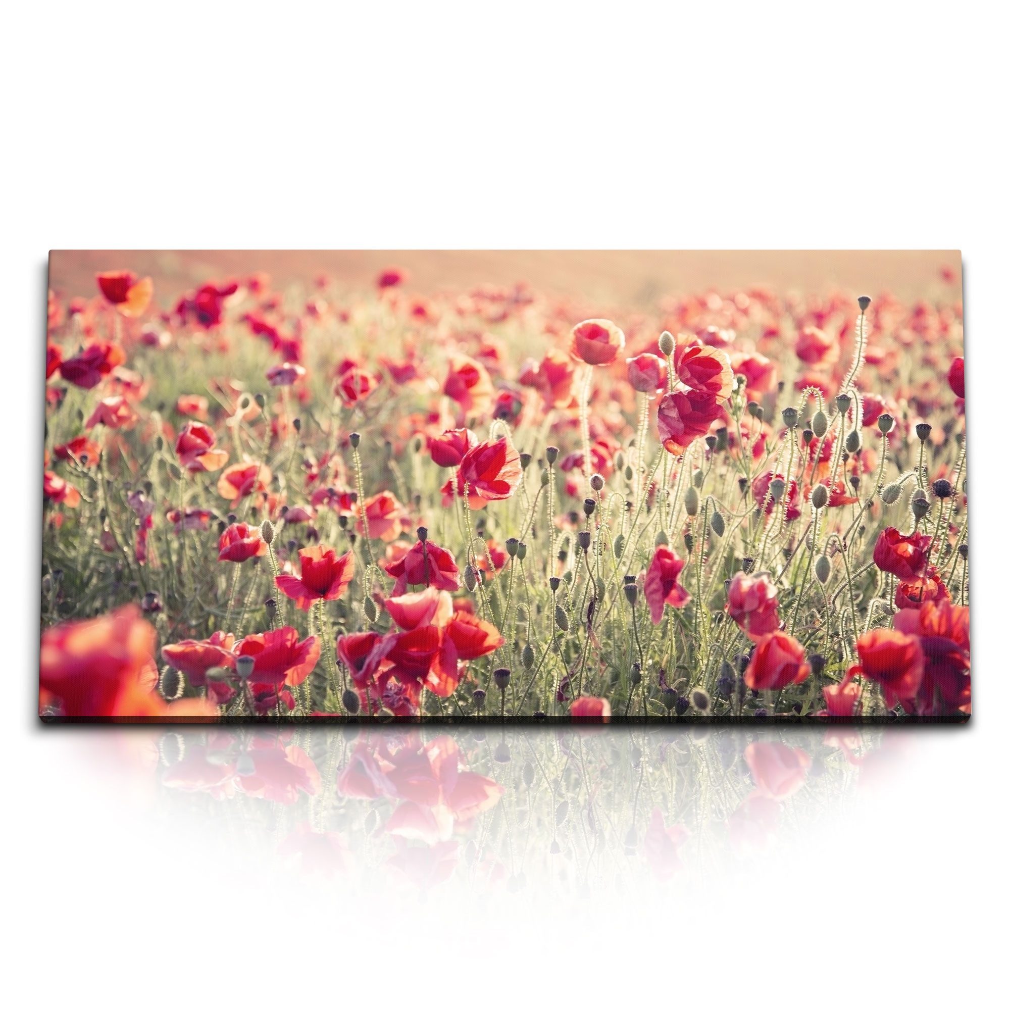 Sinus Art Leinwandbild Kunstdruck Bilder 120x60cm günstig online kaufen