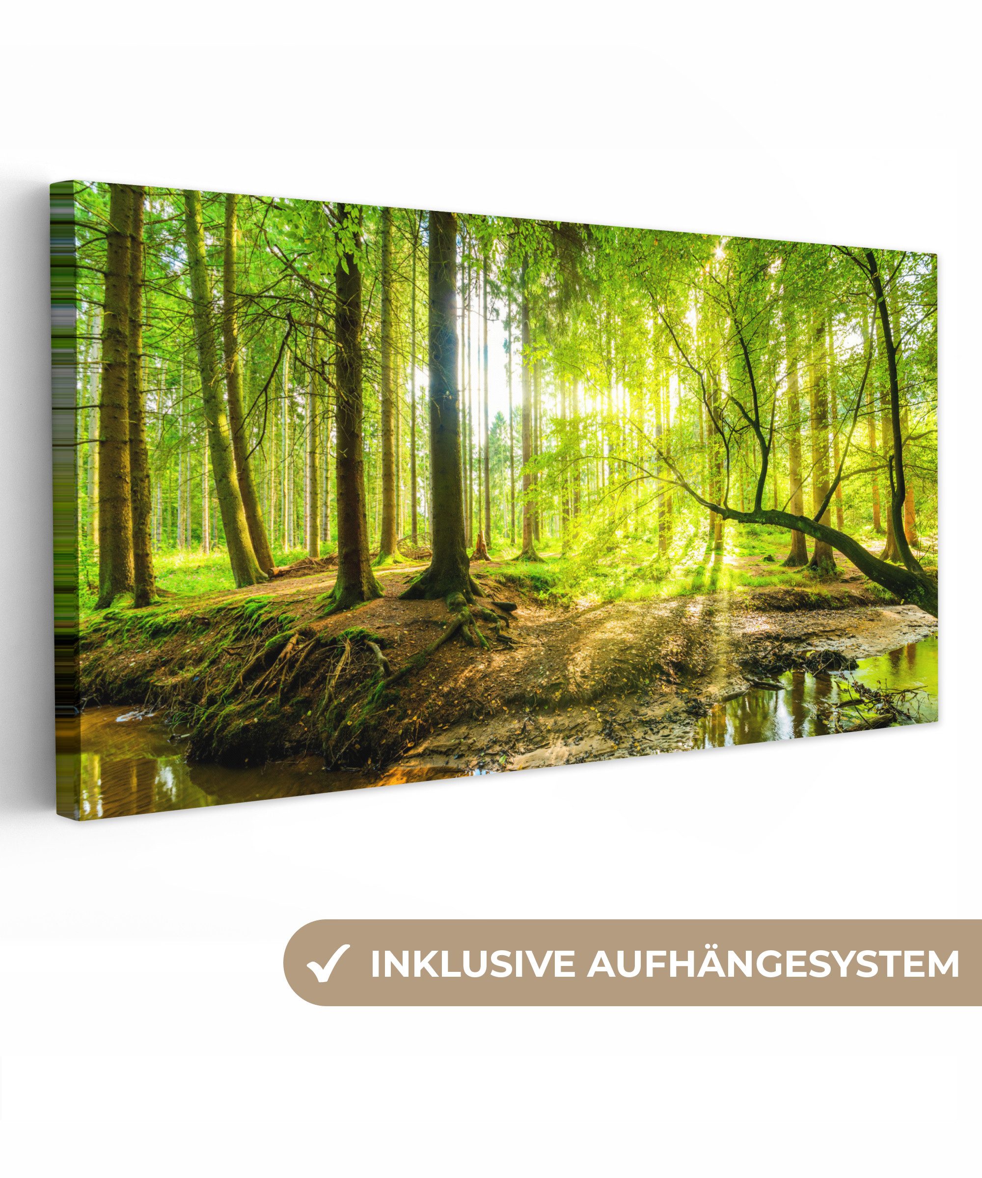 OneMillionCanvasses® Leinwandbild Panorama Wald - Landschaft günstig online kaufen